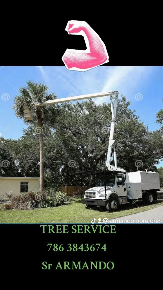 Trusted outdoor landscaping experts serving Miami Gardens, FL - AW Landscaping Gardening