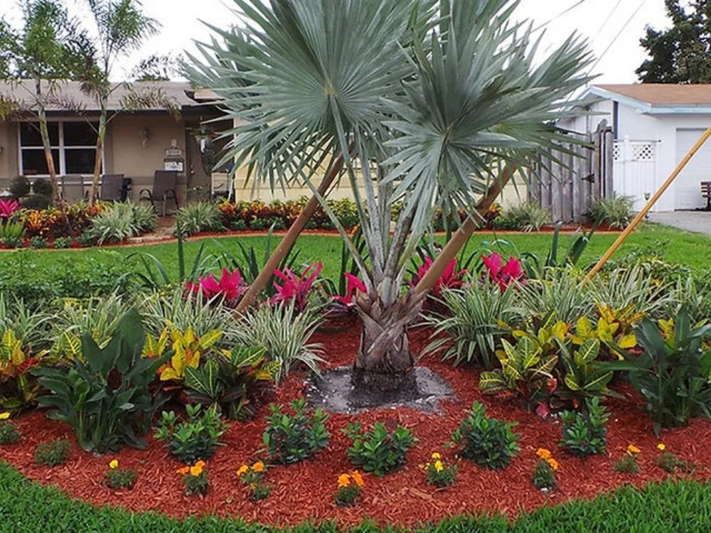 Trusted lawn mowing service for residential properties across Miami Gardens, FL - AW Landscaping Gardening