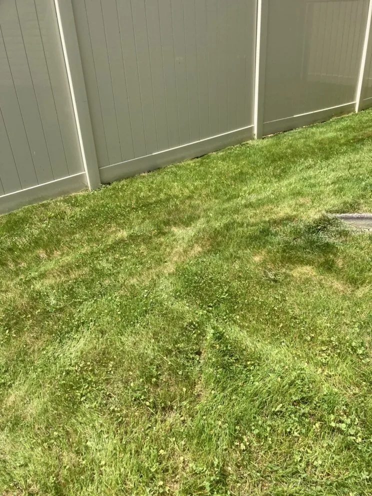 Top-rated lawn care service experts serving Allentown, PA - AW Lawn Care Services