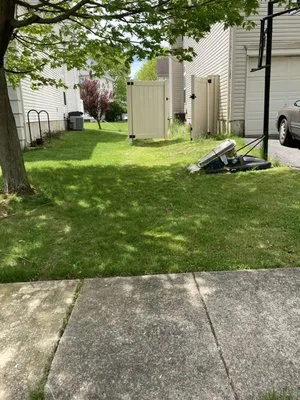 AW Lawn Care Services Logo