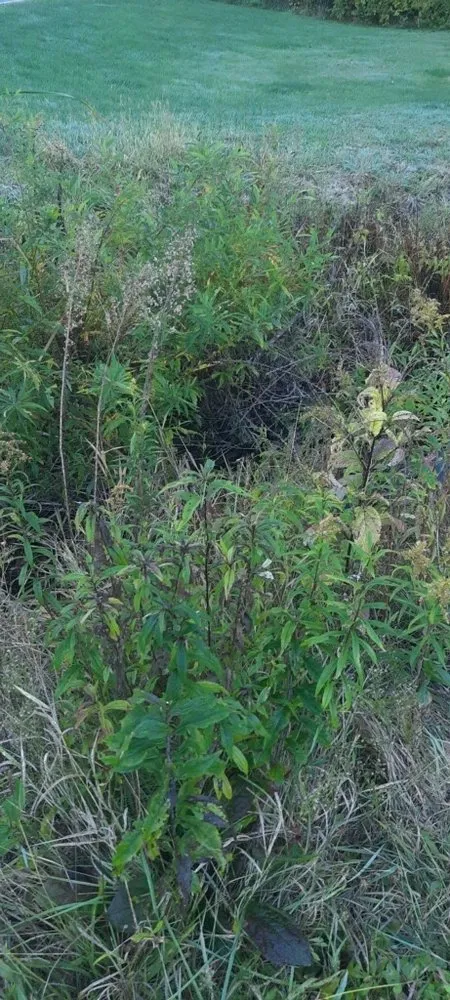 Reliable landscape installation in Warren, OH by AW Lawn Maintenance & Landscaping