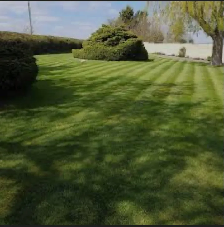 Professional landscaping services for year-round maintenance across Cynthiana, KY - A&W lawncare