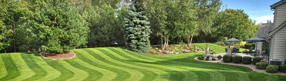 Local yard cleanup service for homes in Holland, NY by AW Outdoor Services