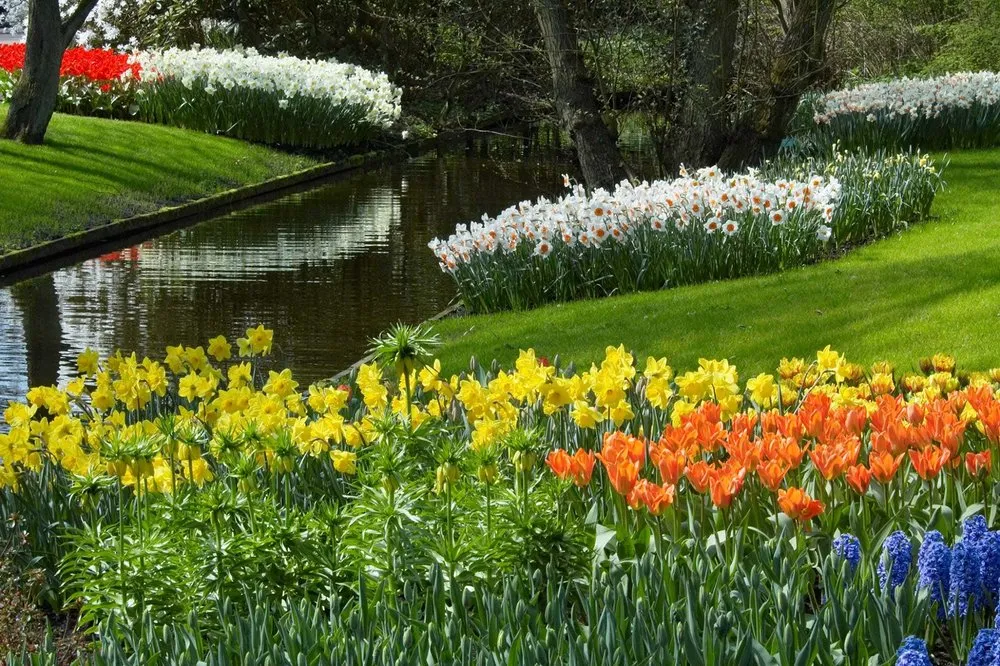 Top-rated landscape installation experts serving Holland, NY - AW Outdoor Services