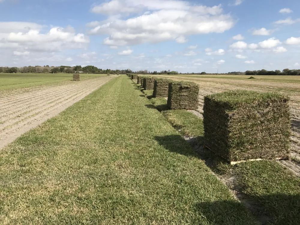 Reliable residential landscaping experts serving Wimauma, FL - A&W Professional Services