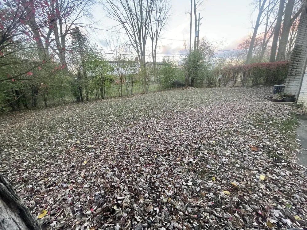 Affordable landscape installation in Westland, MI - AW Services