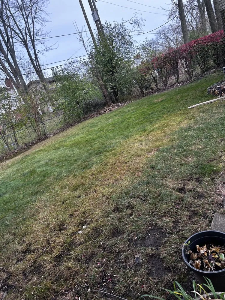 Local residential landscaping in Westland, MI by AW Services