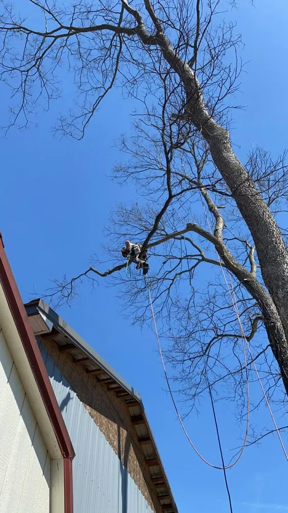 Custom landscape design in Waynesboro, PA - A&W Tree And Lawn