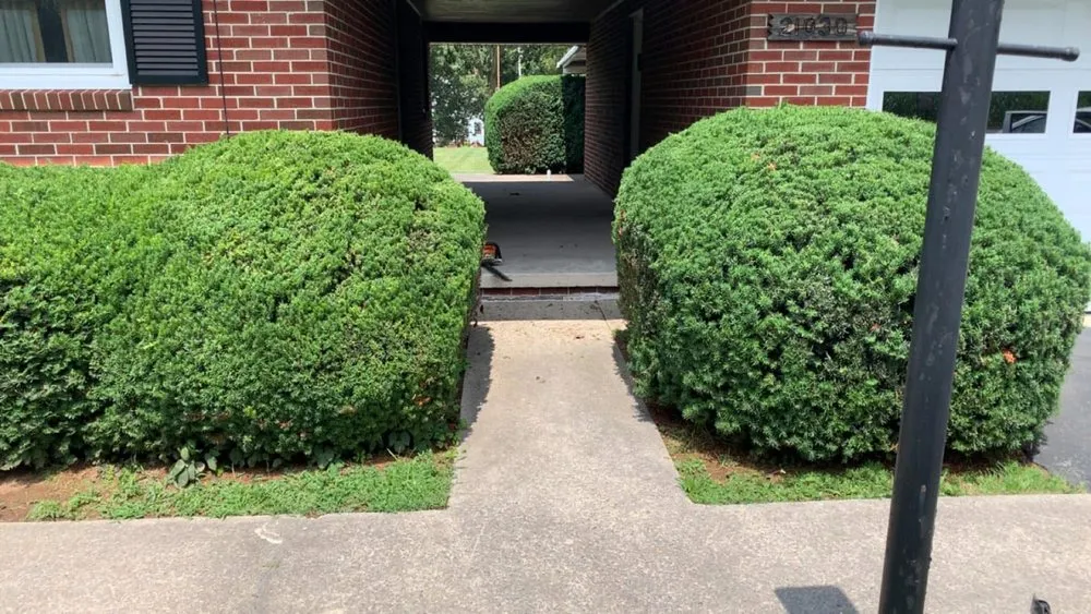 Top-rated lawn care service in Waynesboro, PA by A&W Tree And Lawn