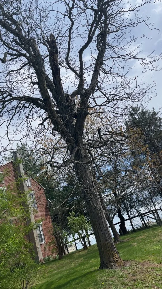 Custom lawn care service experts serving Waynesboro, PA - A&W Tree And Lawn