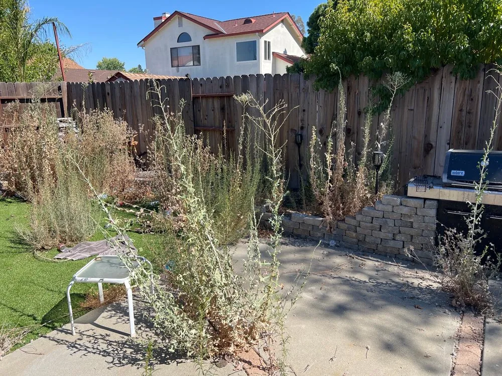 Reliable lawn mowing service for beautiful yards across Sacramento, CA - Awaken Landscapes