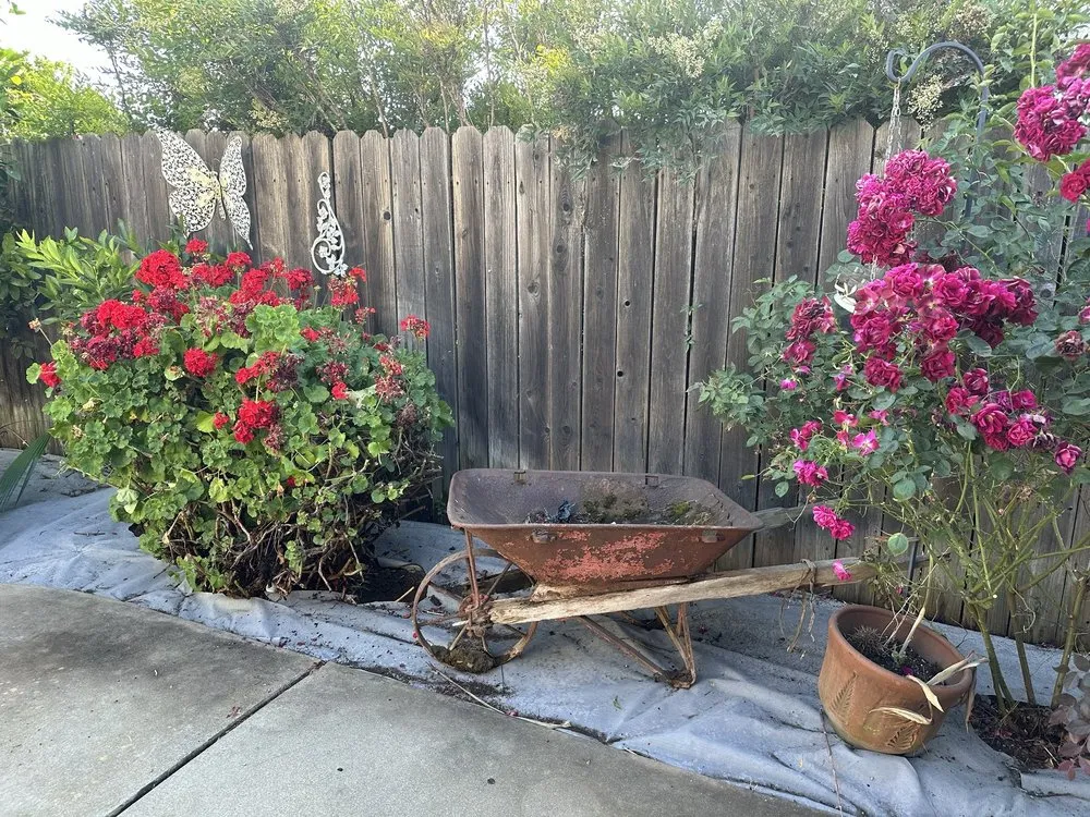 Expert landscaping services in Sacramento, CA - Awaken Landscapes