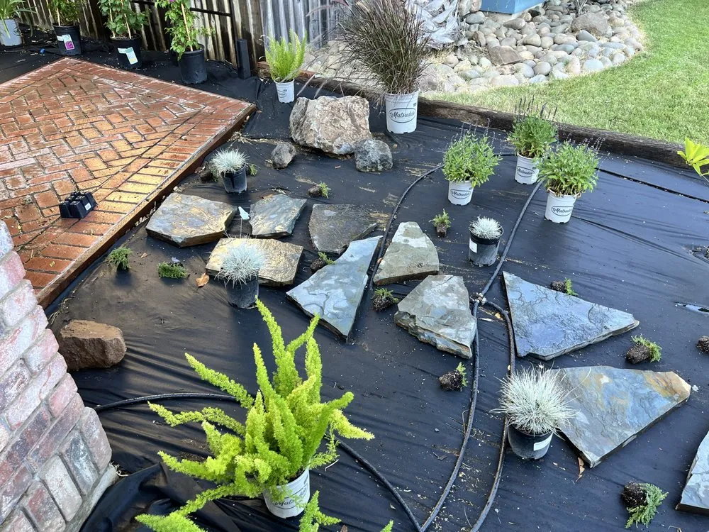 Top-rated yard cleanup service for year-round maintenance in Sacramento, CA by Awaken Landscapes