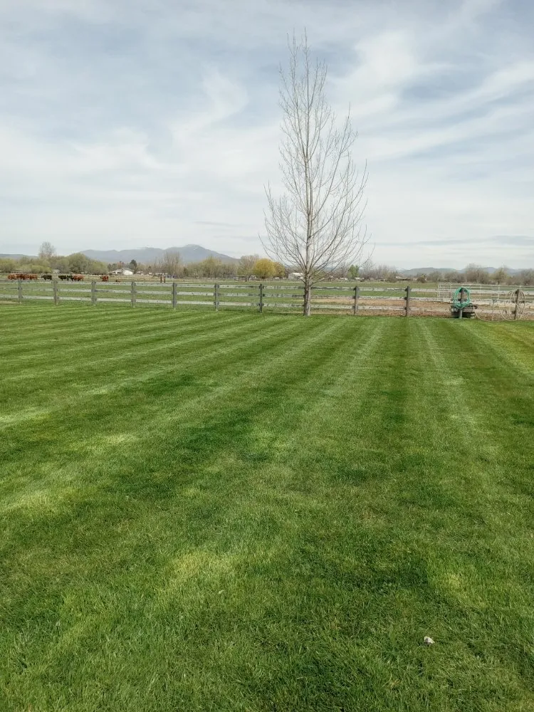 Top-rated lawn mowing service for outdoor upgrades in Letha, ID by Away We Mow