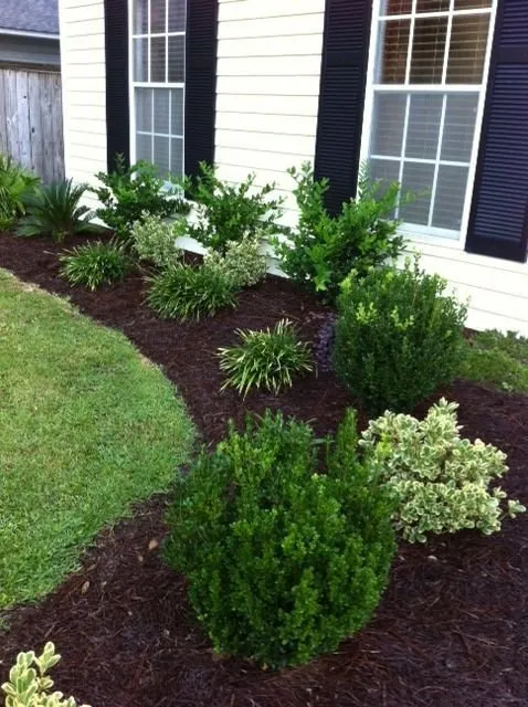 Trusted yard cleanup service experts serving Bradenton, FL - Awe Lawn Care And Services