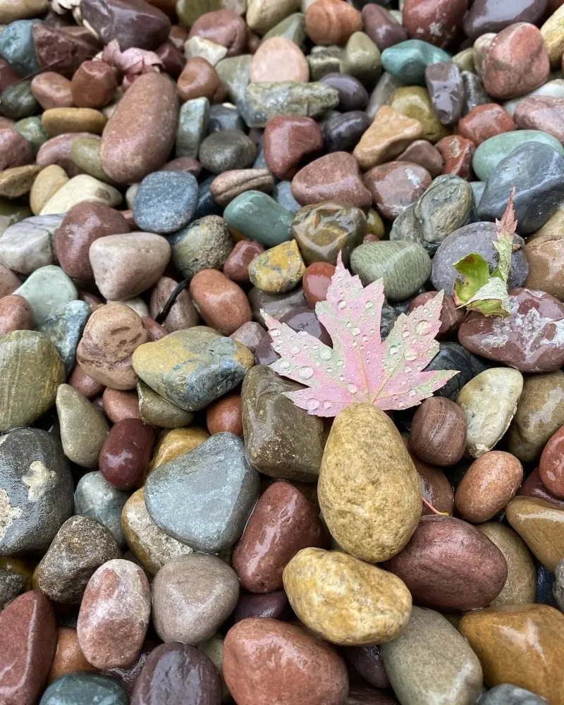 Reliable yard cleanup service with custom design across North Plains, OR - Awe-Scapes