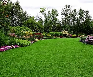 Affordable landscape installation for outdoor upgrades across Amarillo, TX - Awesome Landscape