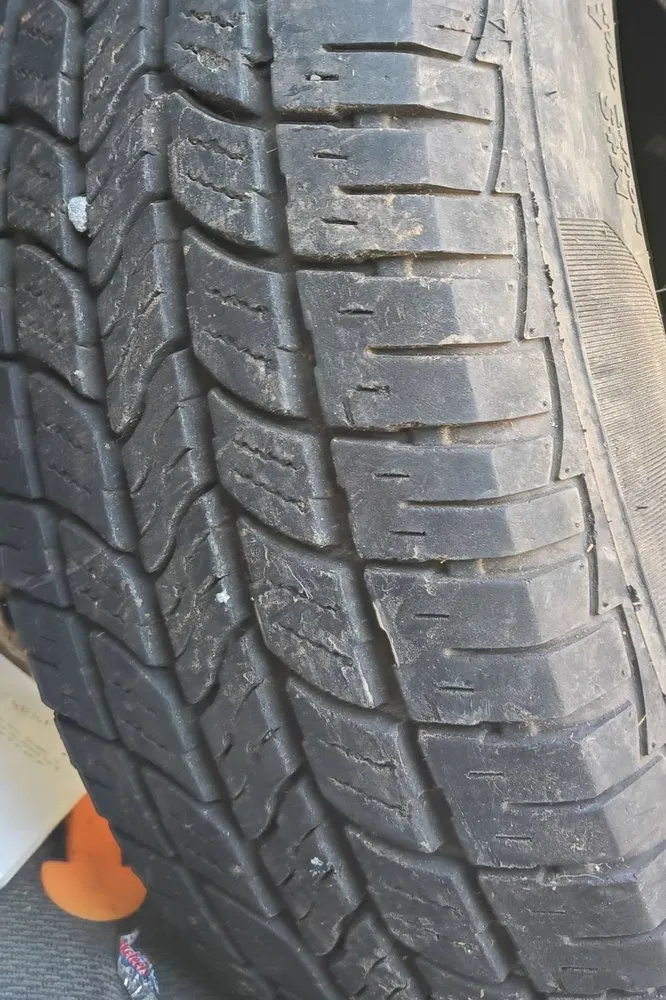 Expert yard maintenance in Auburn, CA - Awesome Landscaping