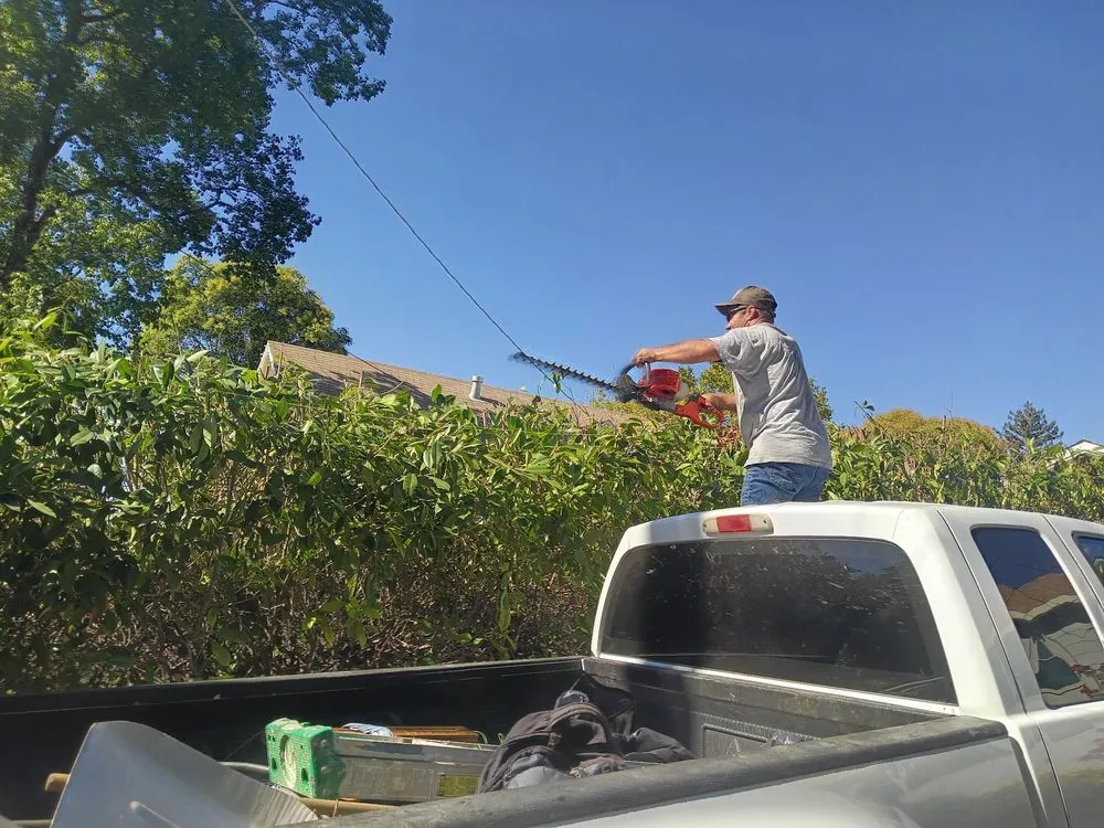 Top-rated residential landscaping near you across Auburn, CA - Awesome Landscaping