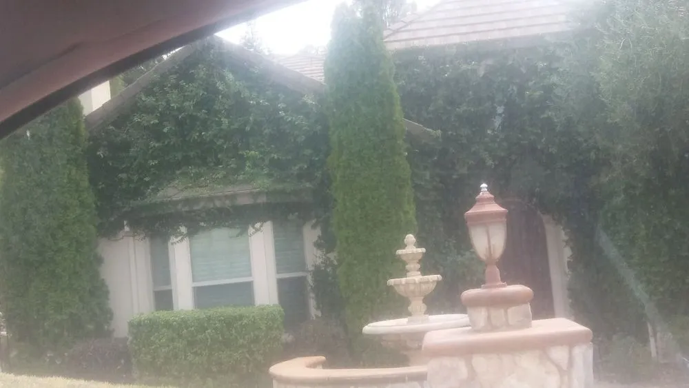 Affordable landscaping services in Auburn, CA by Awesome Landscaping