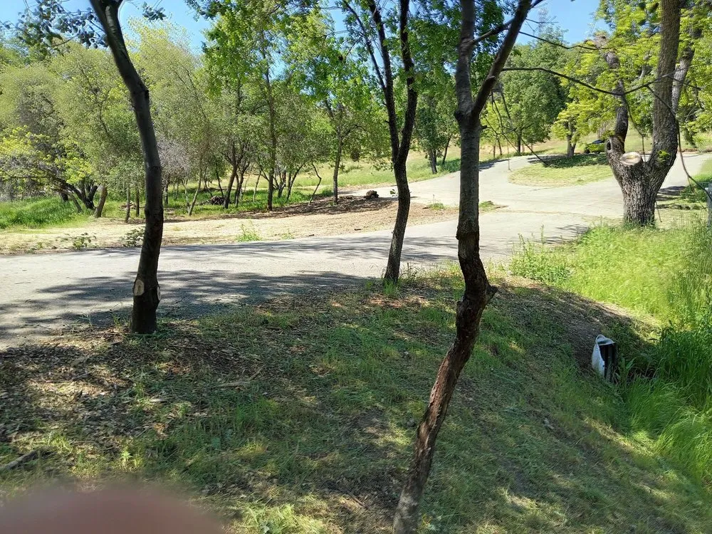 Top-rated lawn mowing service experts serving Auburn, CA - Awesome Landscaping