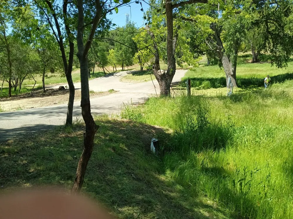 Reliable yard maintenance in Auburn, CA by Awesome Landscaping