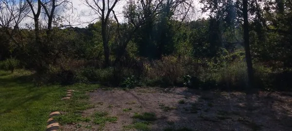 Awesome Lawn and Snow