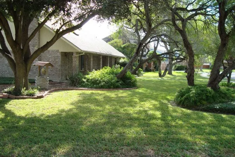 Top-rated lawn care service in Corpus Christi, TX by Awesome Lawn Care