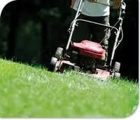 Affordable landscape design experts serving Billings, MO - Awesome Lawns