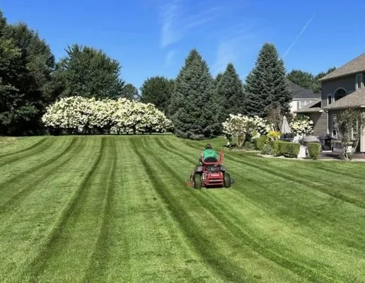 Awesome Lawns