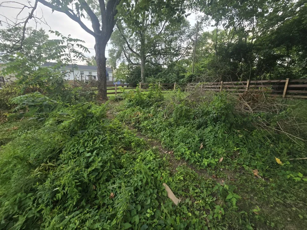 Custom lawn care service for homes across Liberty Township, OH - AWK Restoration