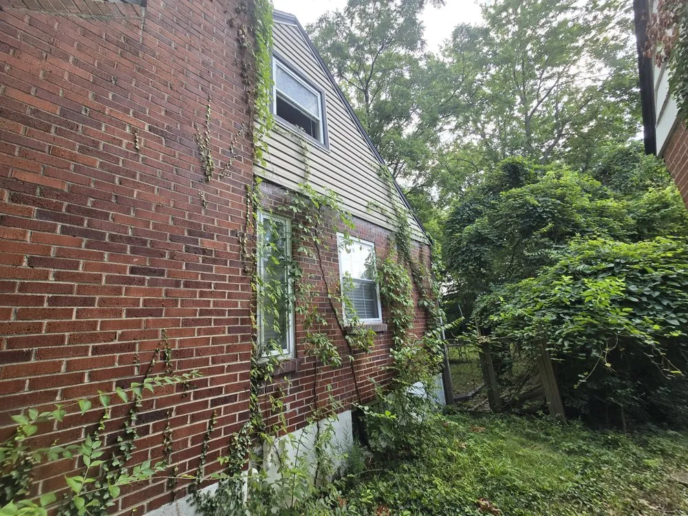 Professional yard cleanup service in Liberty Township, OH by AWK Restoration