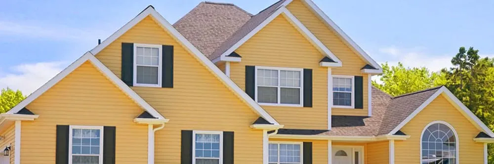 Professional yard cleanup service in Stoughton, MA - Awn Construction