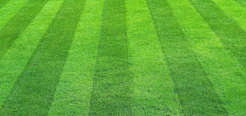 Affordable yard maintenance for year-round maintenance across Shrewsbury, PA - Awn Cut & Trim