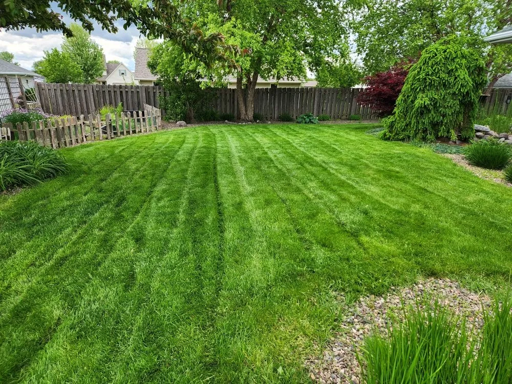 Professional yard cleanup service near you in De Pere, WI by Awoc Lawn Care