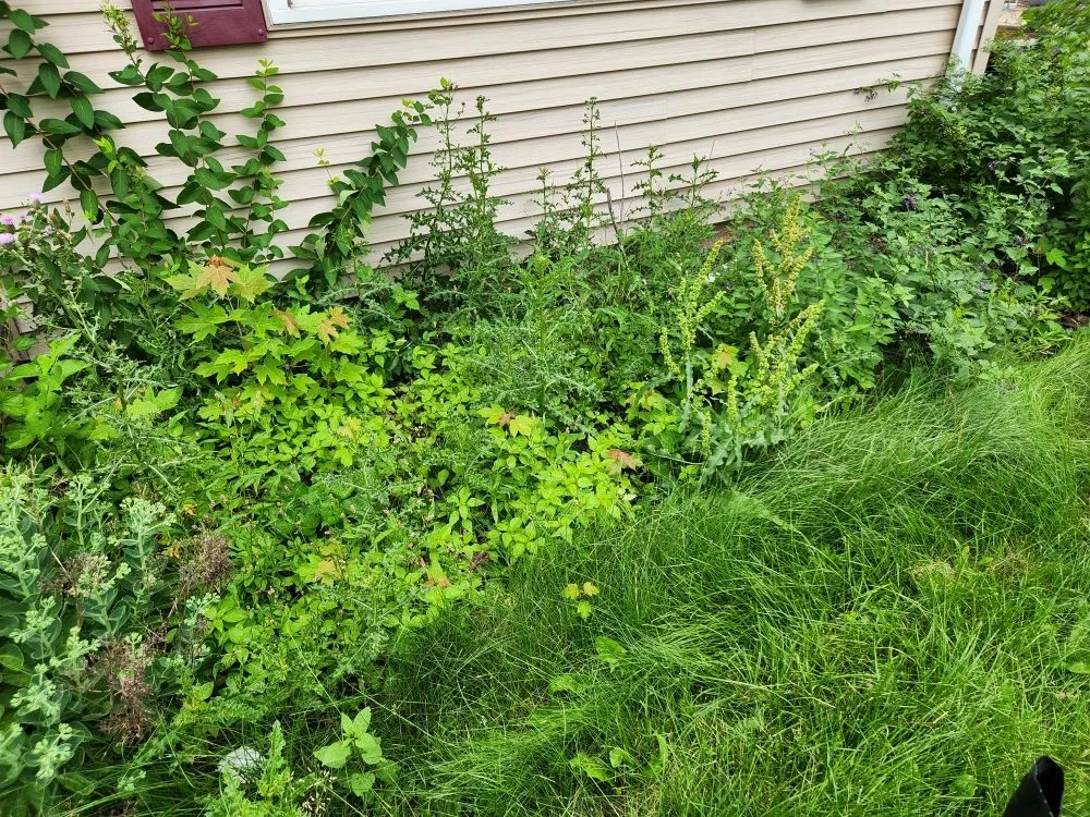 Expert lawn care service in De Pere, WI by Awoc Lawn Care