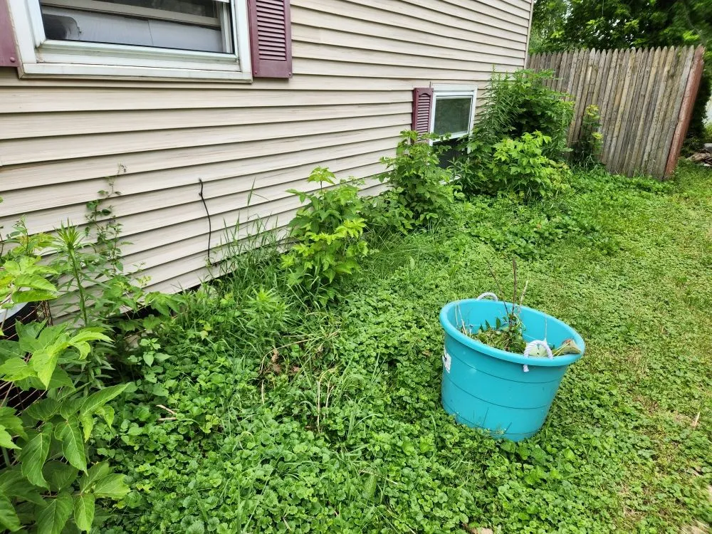 Trusted yard cleanup service for residential properties in De Pere, WI by Awoc Lawn Care