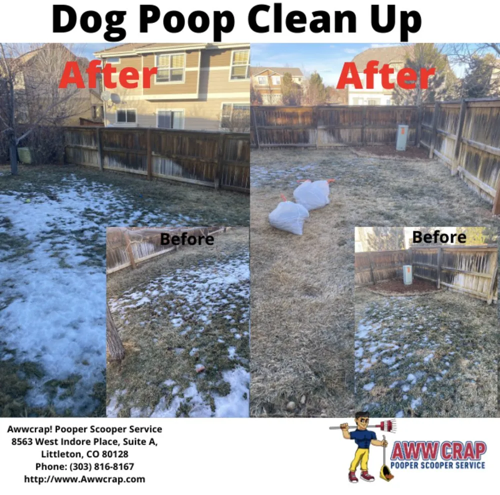 Affordable yard maintenance in Littleton, CO - AwwCrap! Pooper Scooper Service