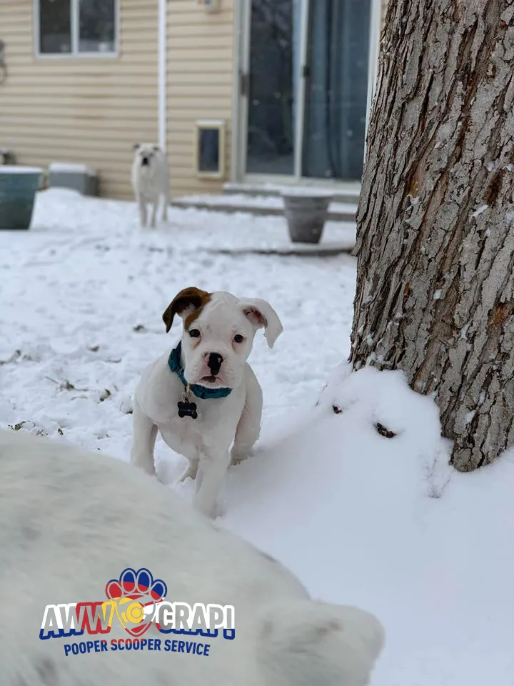 Trusted landscaping services experts serving Littleton, CO - AwwCrap! Pooper Scooper Service