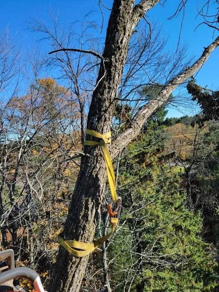 Custom lawn mowing service in Nekoosa, WI by AX Head Tree Service and Landscaping