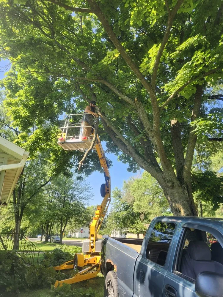 Top-rated lawn mowing service in Nekoosa, WI by AX Head Tree Service and Landscaping