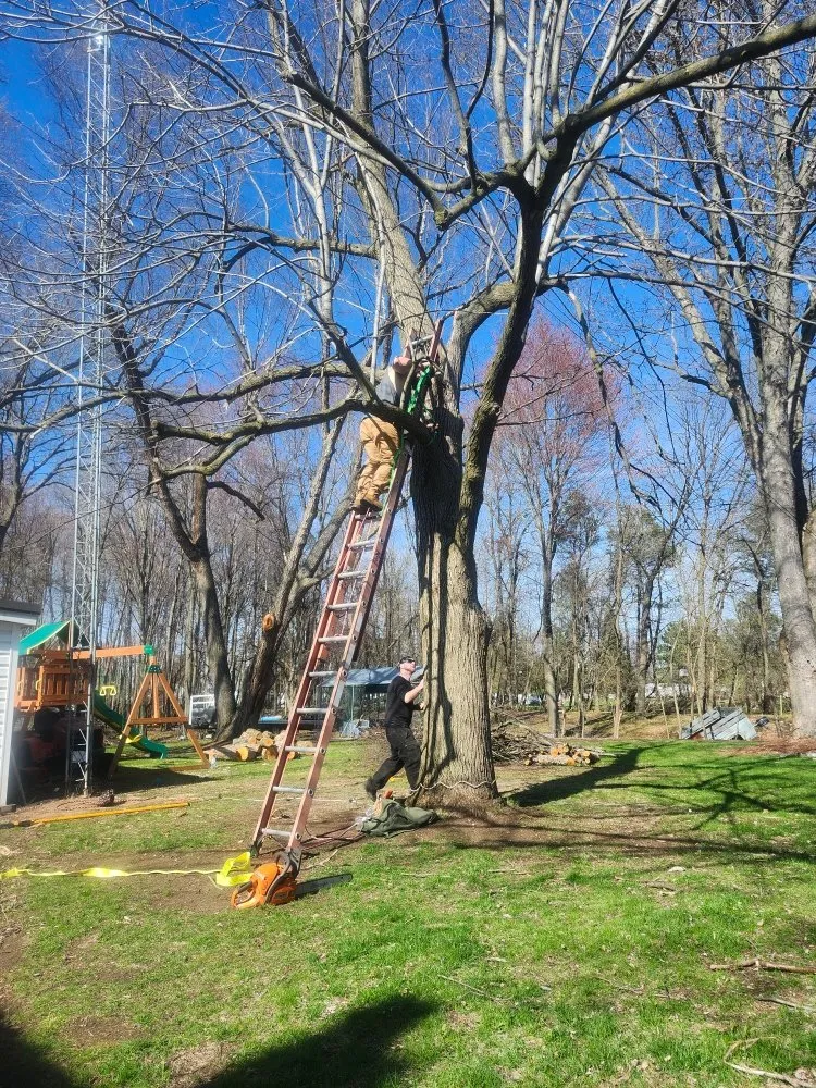 Expert lawn mowing service experts serving Nekoosa, WI - AX Head Tree Service and Landscaping