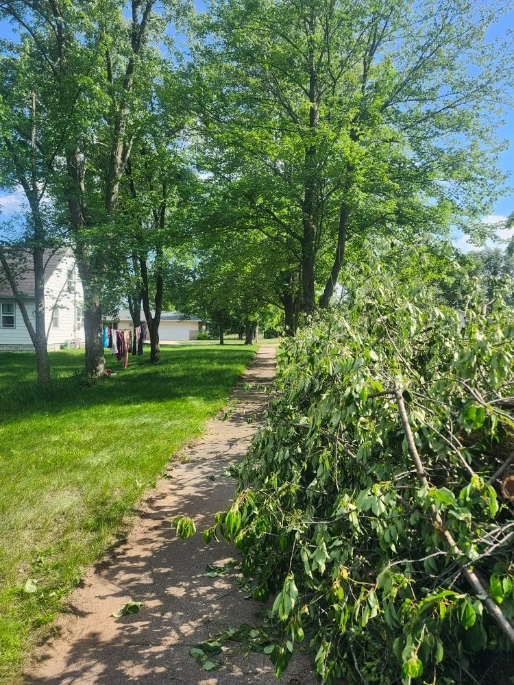 Expert garden landscaping for residential properties across Nekoosa, WI - AX Head Tree Service and Landscaping