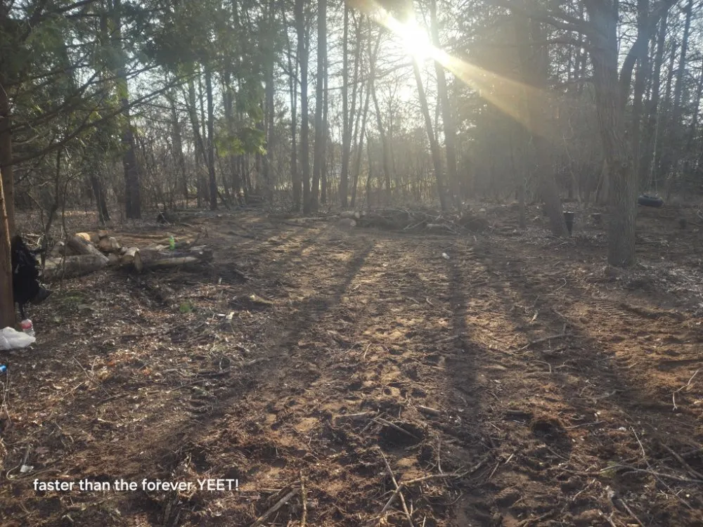 Professional landscaping services experts serving Nekoosa, WI - AX Head Tree Service and Landscaping