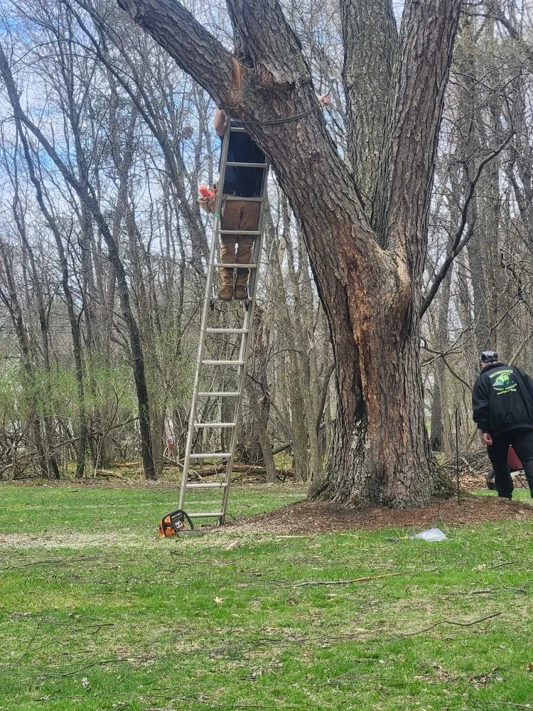 Trusted lawn care service in Nekoosa, WI - AX Head Tree Service and Landscaping