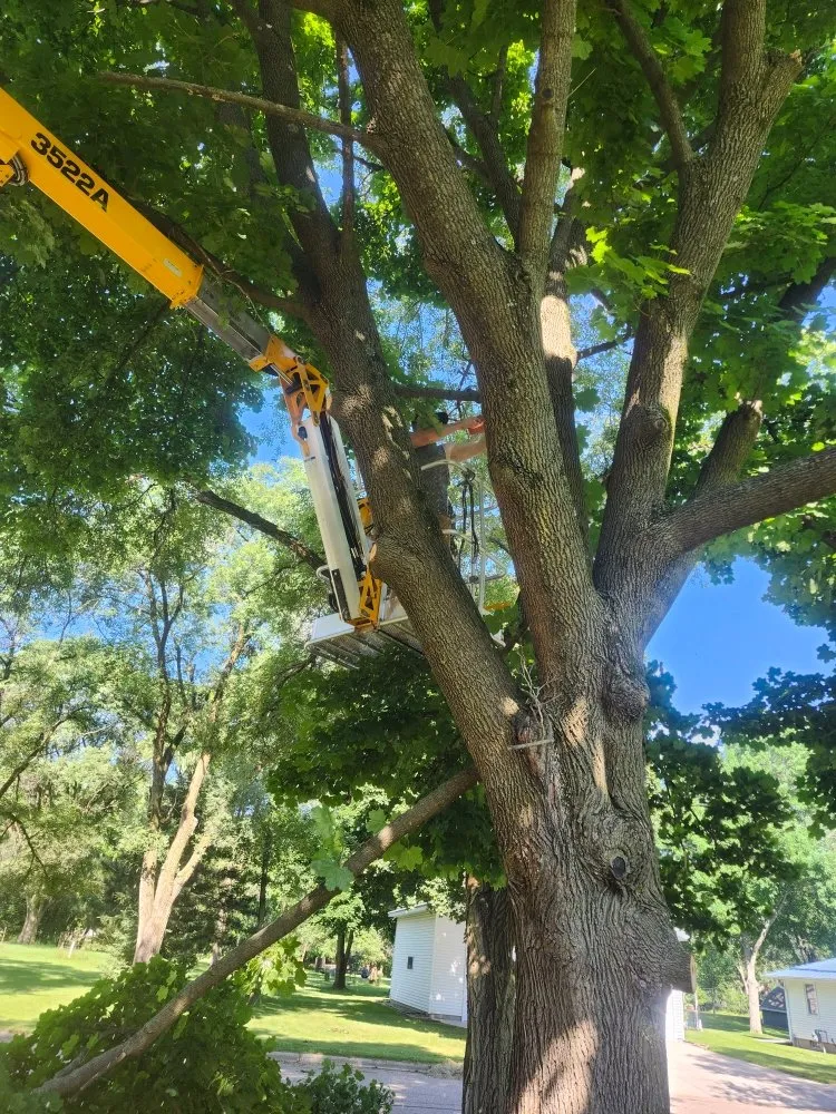 Reliable lawn mowing service experts serving Nekoosa, WI - AX Head Tree Service and Landscaping