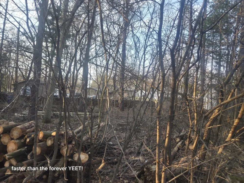 Affordable landscape installation for beautiful yards across Nekoosa, WI - AX Head Tree Service and Landscaping