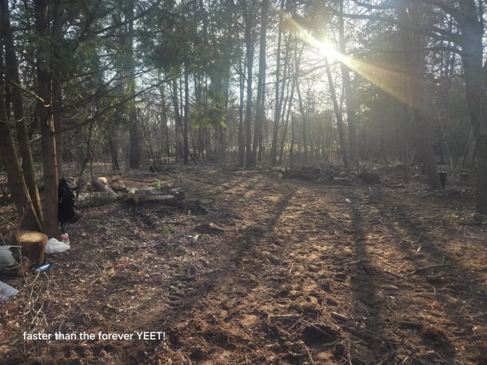 Trusted landscape installation for homes across Nekoosa, WI - AX Head Tree Service and Landscaping