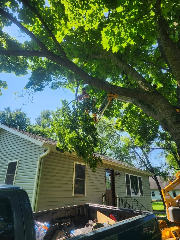 Top-rated landscape installation experts serving Nekoosa, WI - AX Head Tree Service and Landscaping