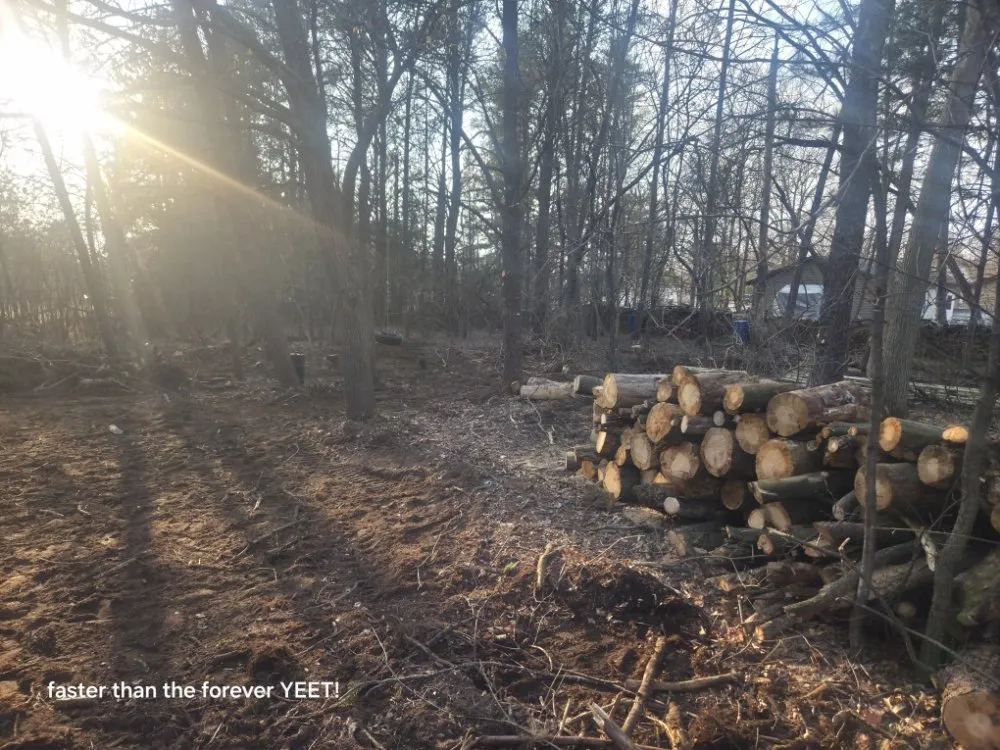 Professional yard cleanup service in Nekoosa, WI - AX Head Tree Service and Landscaping